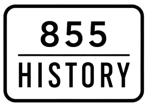 View history