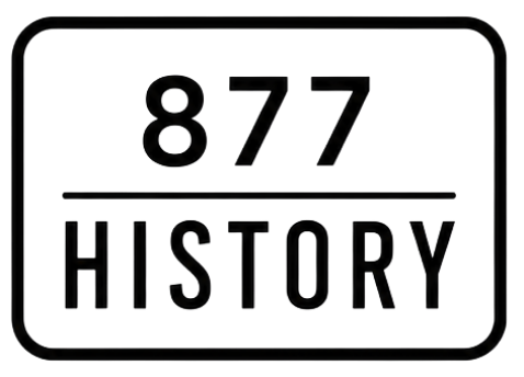 View history